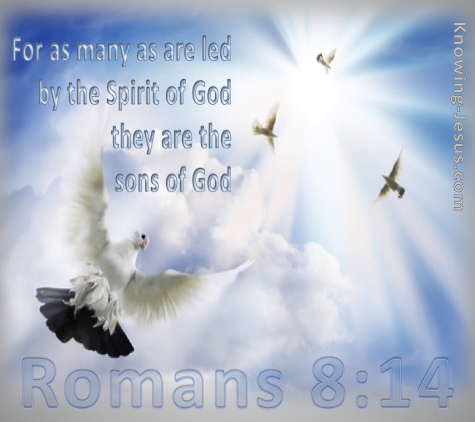 Romans 8:14 Led By The Spirit (blue)